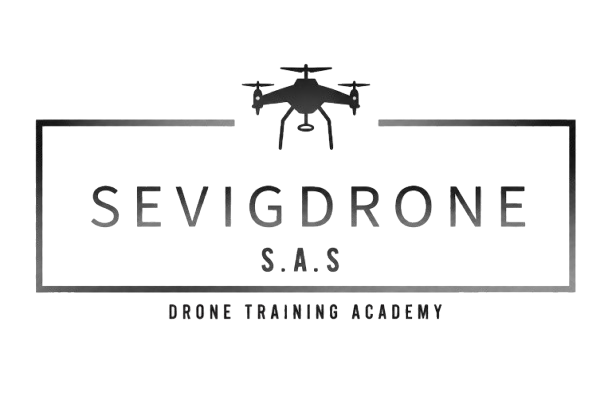 Logo Sevigdrone